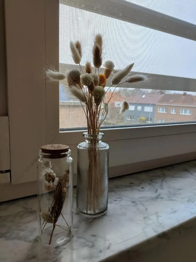 Bel-Etage Bruges Homestay - Free Parking - Entire Floor